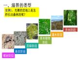 2.3群落的演替课件2021-2022学年高二上学期生物人教版选择性必修2
