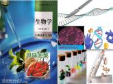 4.3禁止生物武器课件2021-2022学年高二下学期生物人教版选择性必修3