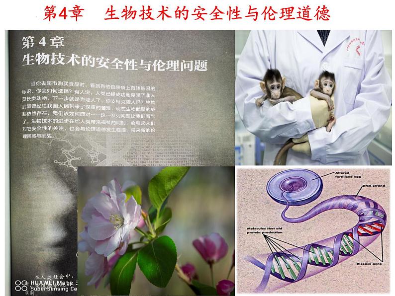 4.3禁止生物武器课件2021-2022学年高二下学期生物人教版选择性必修3第2页