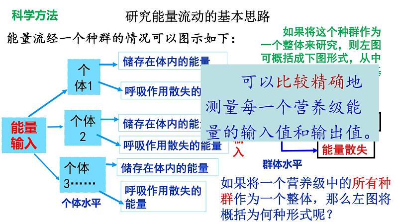 3.2生态系统的能量流动课件2021-2022学年高二上学期生物人教版选择性必修2第4页