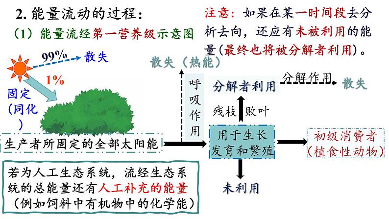 3.2生态系统的能量流动课件2021-2022学年高二上学期生物人教版选择性必修2第5页