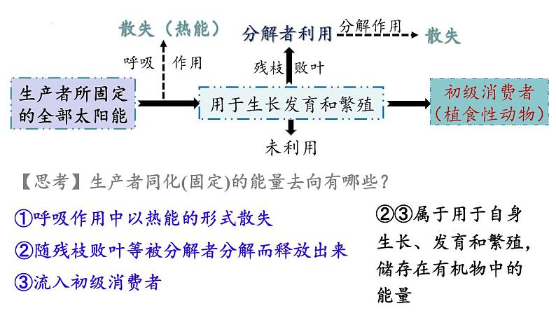 3.2生态系统的能量流动课件2021-2022学年高二上学期生物人教版选择性必修2第6页