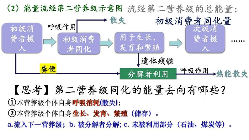 3.2生态系统的能量流动课件2021-2022学年高二上学期生物人教版选择性必修2第7页