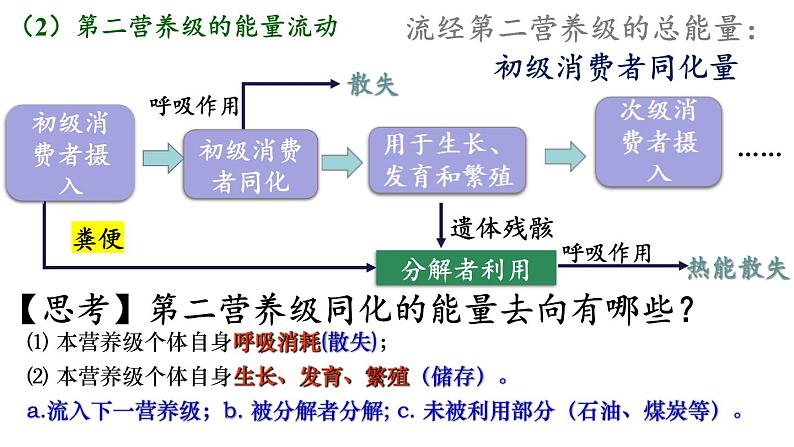 3.2生态系统的能量流动课件2021-2022学年高二上学期生物人教版选择性必修2第8页