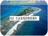 3.3生态系统的物质循环课件2021-2022学年高二上学期生物人教版选择性必修2