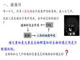 3.3生态系统的物质循环课件2021-2022学年高二上学期生物人教版选择性必修2