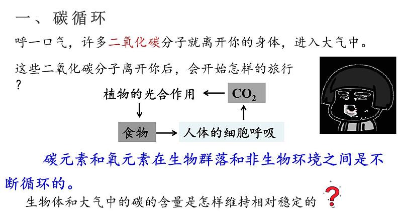 3.3生态系统的物质循环课件2021-2022学年高二上学期生物人教版选择性必修2第3页