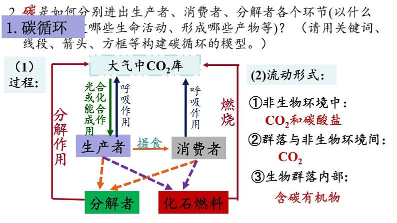 3.3生态系统的物质循环课件2021-2022学年高二上学期生物人教版选择性必修2第5页