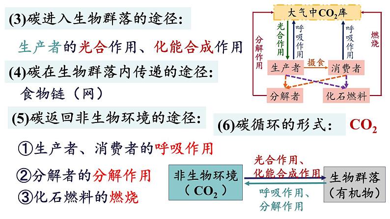 3.3生态系统的物质循环课件2021-2022学年高二上学期生物人教版选择性必修2第6页