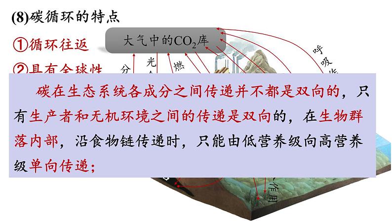 3.3生态系统的物质循环课件2021-2022学年高二上学期生物人教版选择性必修2第8页