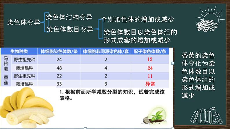 5.2染色体变异课件2021-2022学年高一下学期生物人教版必修2第8页