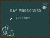 5.3人类遗传病课件2021-2022学年高一下学期生物人教版必修2