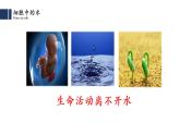 2.2细胞中的无机物课件2021-2022学年高一上学期生物人教版必修1