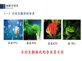 2.2细胞中的无机物课件2021-2022学年高一上学期生物人教版必修1