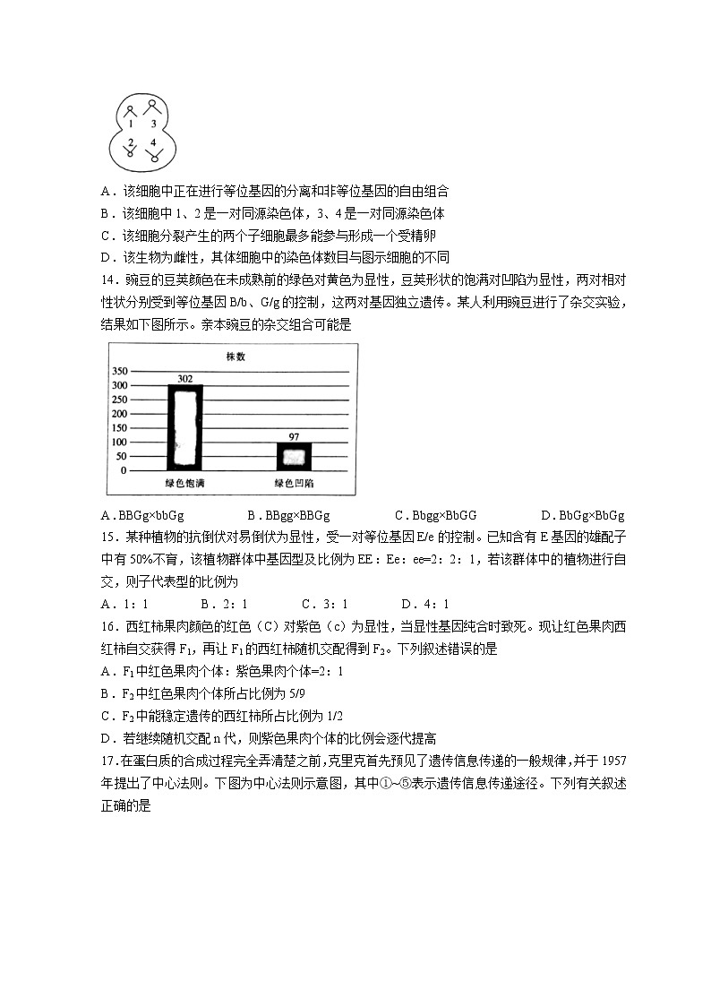 2022河南省创新发展联盟高一下学期第三次联考试题生物含解析03