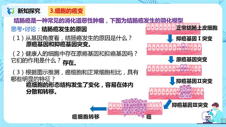 5.1《基因突变和基因重组》课件（送教案+练习）07