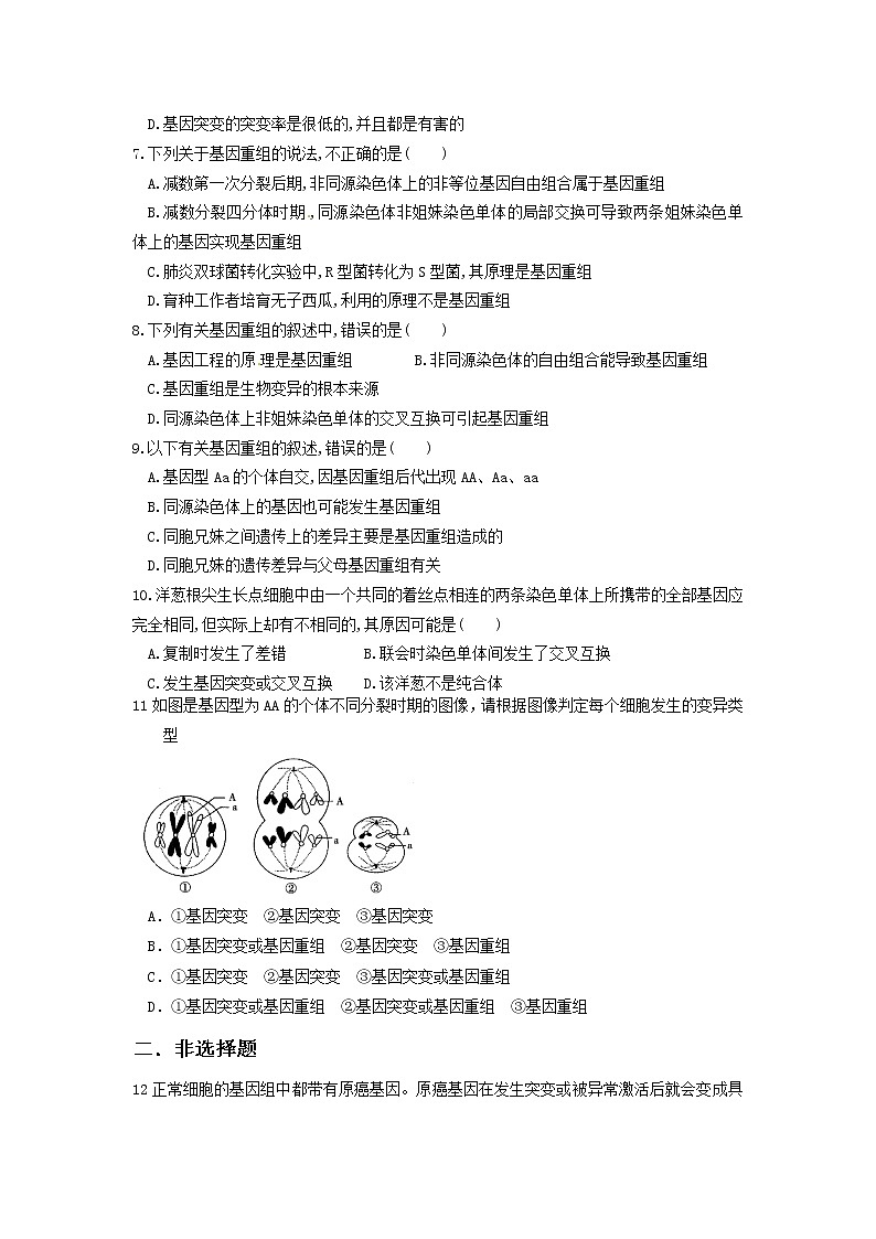 5.1《基因突变和基因重组》课件（送教案+练习）02