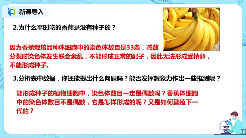 5.2《染色体变异》课件PPT+教案03