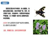 高中生物人教版（2019）选择性必修二3.5生态系统的稳定性 课件