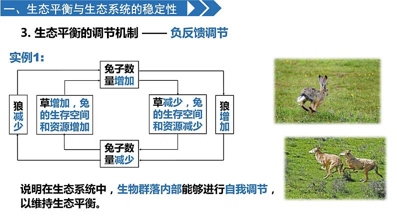 高中生物人教版（2019）选择性必修二3.5生态系统的稳定性 课件08