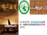 高中生物人教版（2019）选择性必修二1.1种群的数量特征 课件