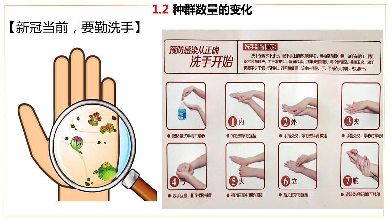 高中生物人教版（2019）选择性必修二1.2 种群数量的变化 课件第3页