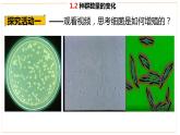 高中生物人教版（2019）选择性必修二1.2 种群数量的变化 课件