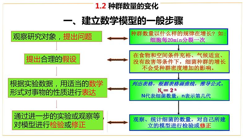高中生物人教版（2019）选择性必修二1.2 种群数量的变化 课件第6页