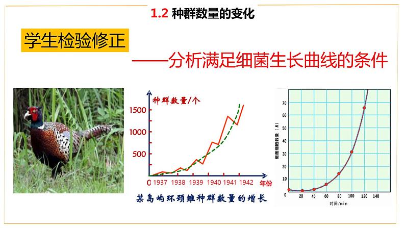 高中生物人教版（2019）选择性必修二1.2 种群数量的变化 课件第7页