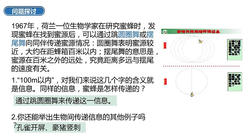 高中生物人教版（2019）选择性必修二3.4生态系统的信息传递  课件02
