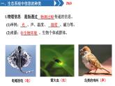 高中生物人教版（2019）选择性必修二3.4生态系统的信息传递  课件