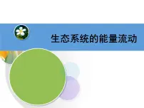 高中生物人教版 (2019)选择性必修2第2节 生态系统的能量流动教课ppt课件