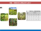 高中生物人教版（2019）選擇性必修二2.3 群落的演替 課件