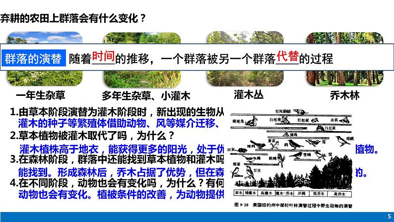 高中生物人教版（2019）选择性必修二2.3 群落的演替 课件05
