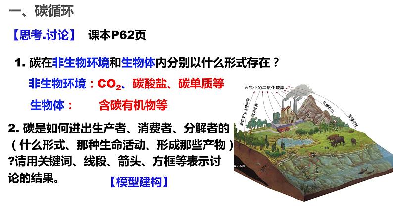 高中生物人教版（2019）选择性必修二3.3生态系统的物质循环（第一课时）课件第5页