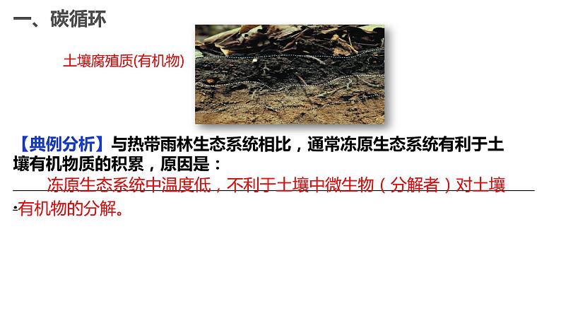 高中生物人教版（2019）选择性必修二3.3生态系统的物质循环（第一课时）课件第8页