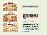 高中生物人教版（2019）选择性必修二2.3群落的演替  课件