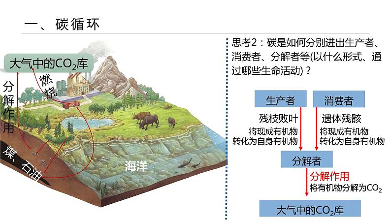 高中生物人教版（2019）选择性必修二3.3生态系统的物质循环 课件第5页