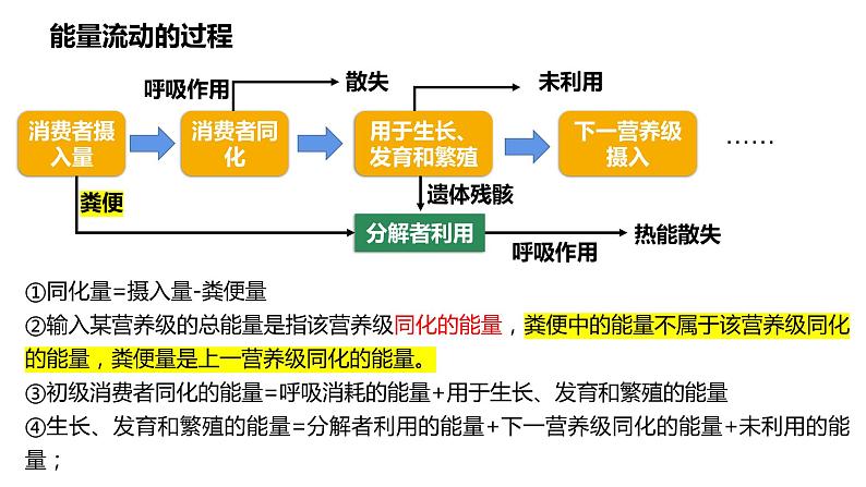 高中生物人教版（2019）选择性必修二3.2生态系统的能量流动    课件08