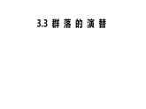 高中生物人教版（2019）选择性必修二2.3群落的演替 课件