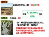 高中生物人教版（2019）选择性必修二2.3群落的演替 课件