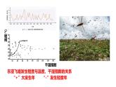 高中生物人教版（2019）选择性必修二1.3影响种群数量变化的因素 课件