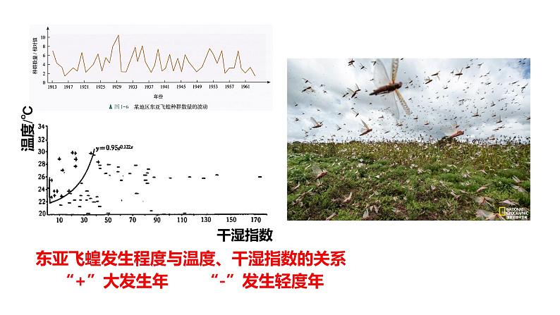 高中生物人教版（2019）选择性必修二1.3影响种群数量变化的因素 课件02