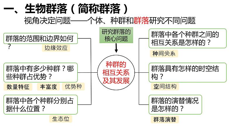 高中生物人教版（2019）选择性必修二2.1 群落的结构（第一课时）课件03