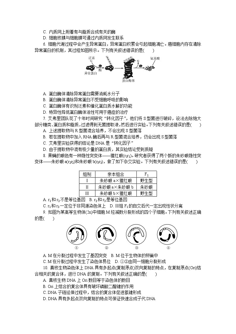 江苏省盐城市2020届高三第三次模拟考试 生物 Word版含答案练习题02