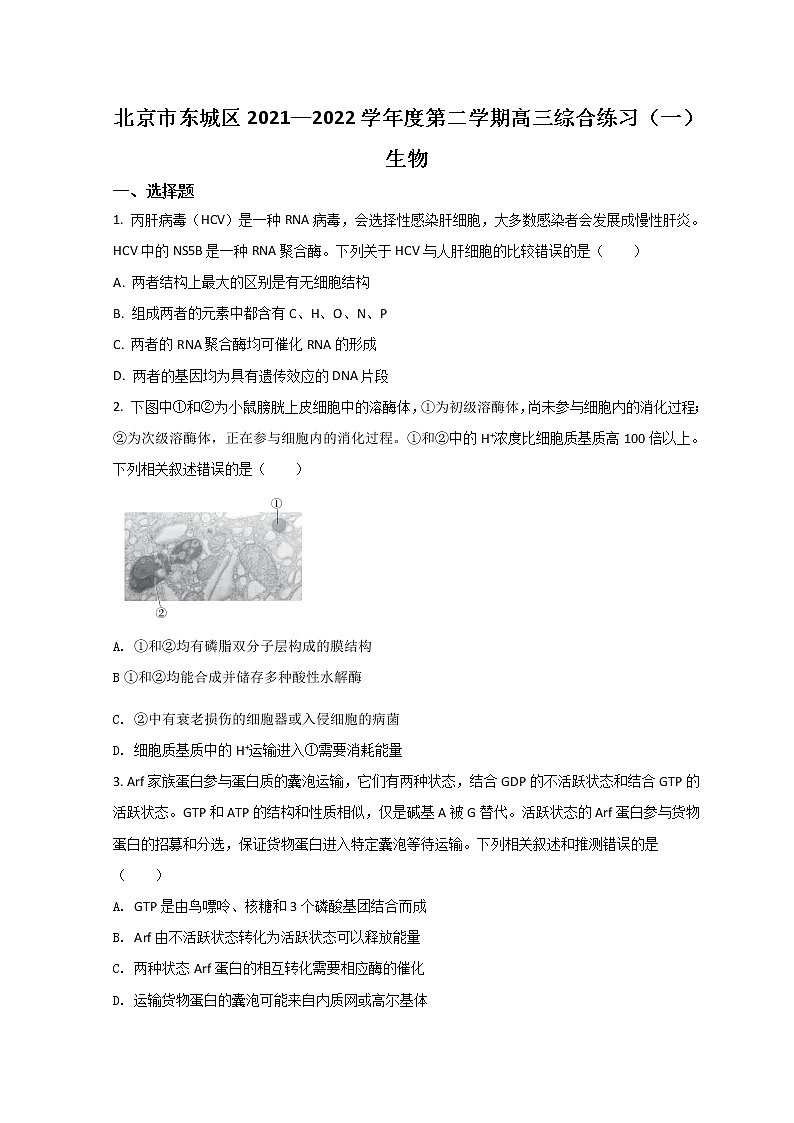 2022北京东城区高三下学期一模考试生物试题含答案01