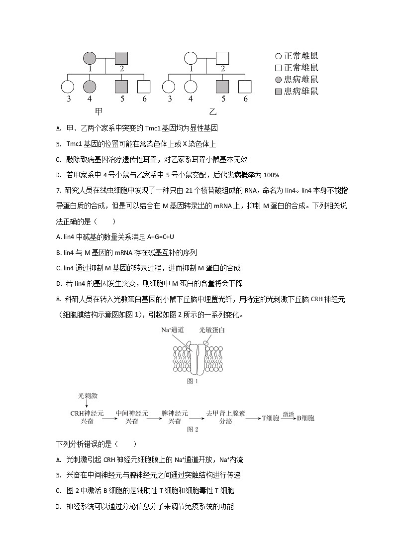 2022北京东城区高三下学期一模考试生物试题含答案03