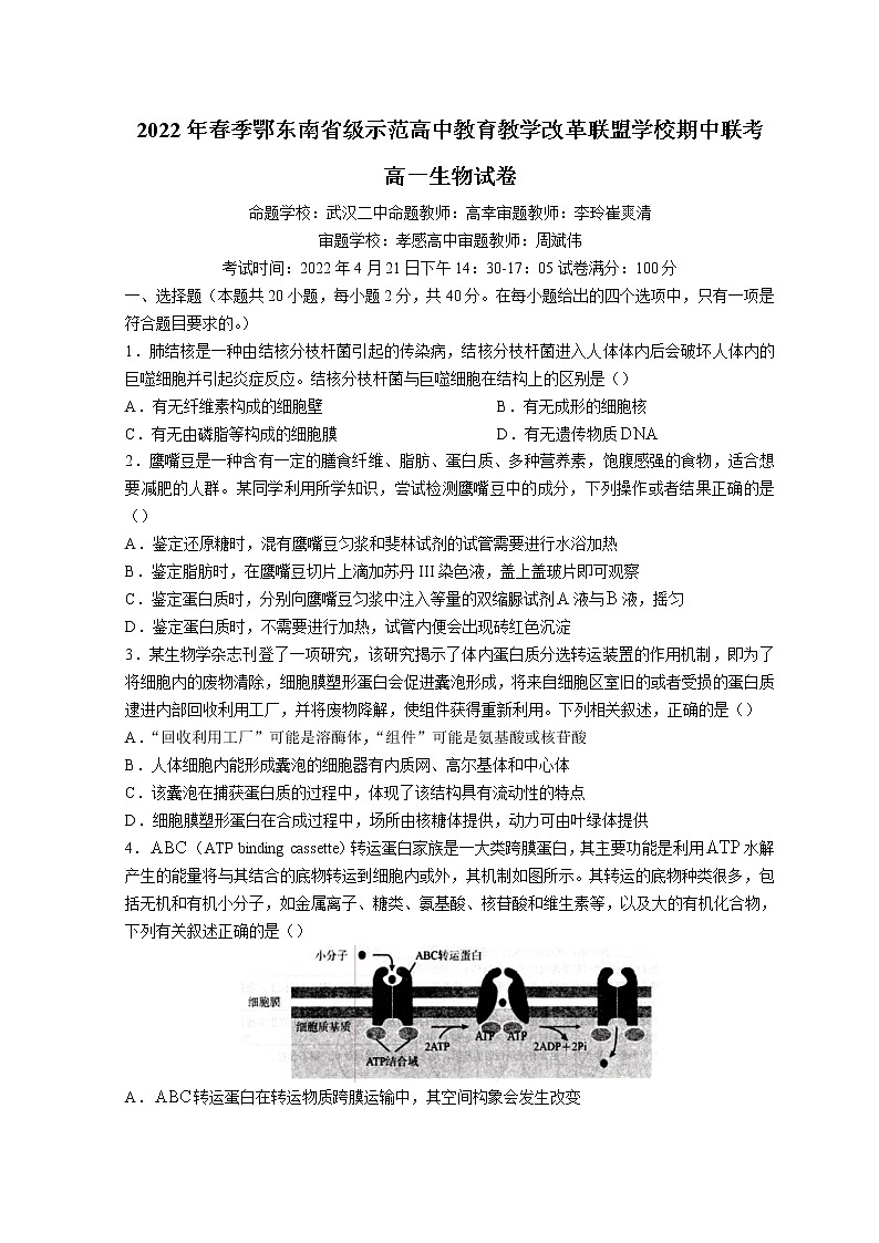 2022湖北省鄂东南联盟学校高一下学期期中联考试题生物无答案01