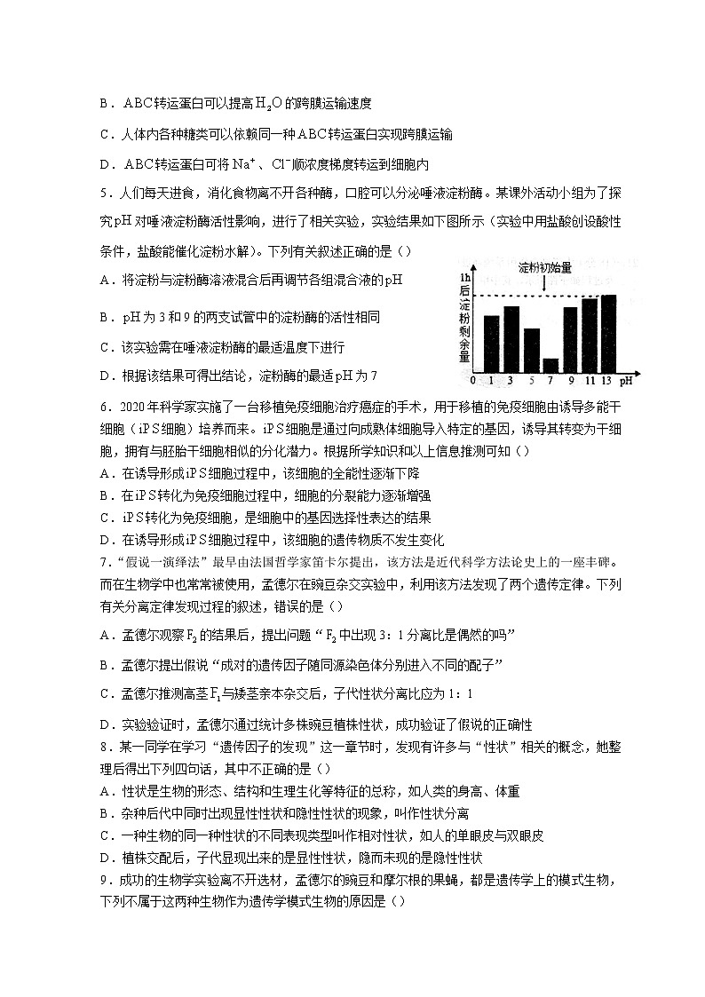 2022湖北省鄂东南联盟学校高一下学期期中联考试题生物无答案02
