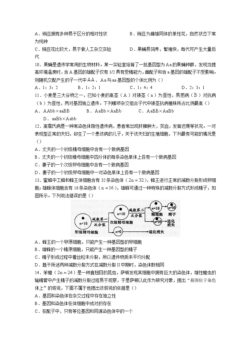 2022湖北省鄂东南联盟学校高一下学期期中联考试题生物无答案03